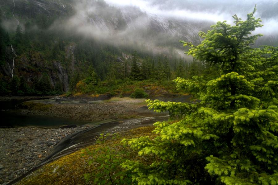 Tongass National Forest, Alaska.jpg