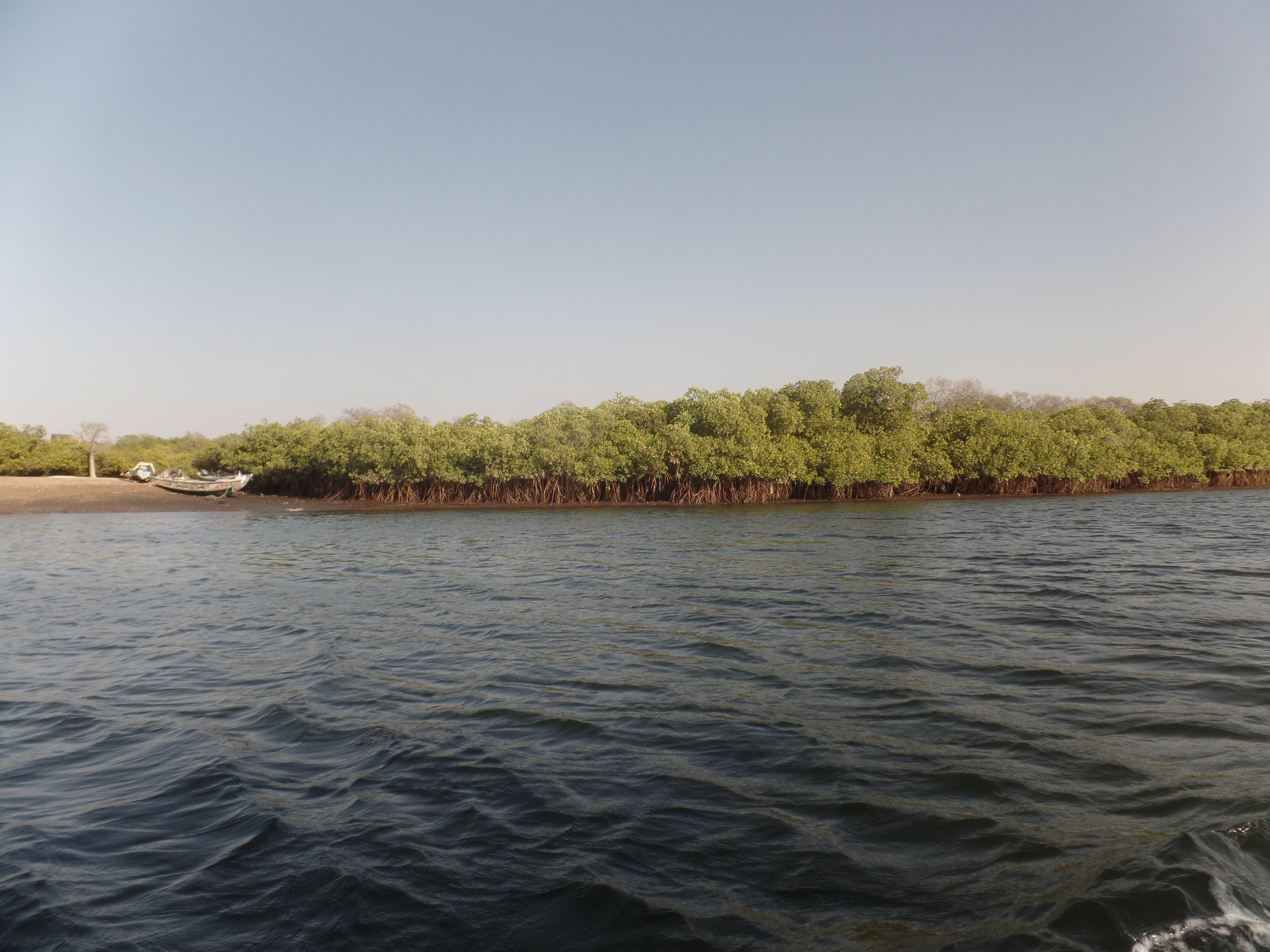 Rejs motorową łodzią po rzece Saloum