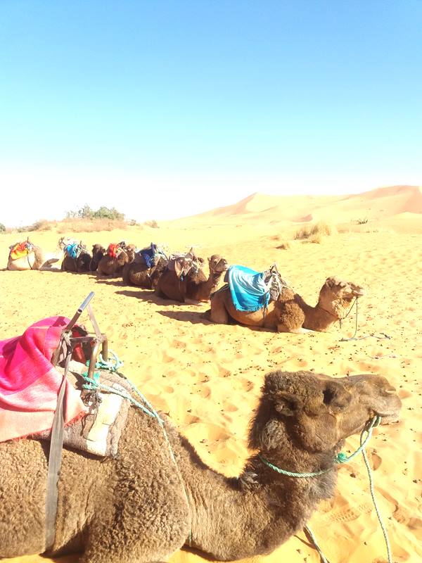 relacja z podróży na Saharę 2019 (12).jpg