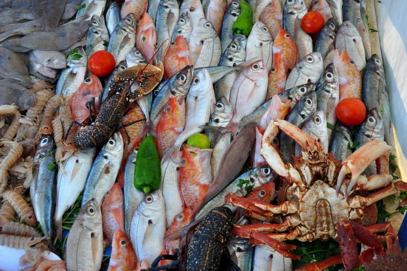 Essaouira - port rybacki i najlepsze grilowane ryby