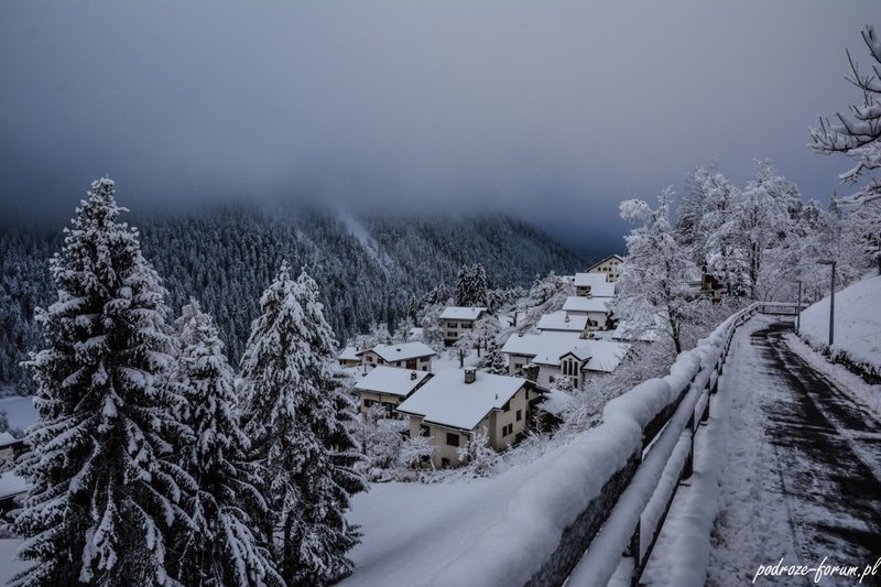 Bernina Ekspress Szwajcaria 2015 (11).jpg