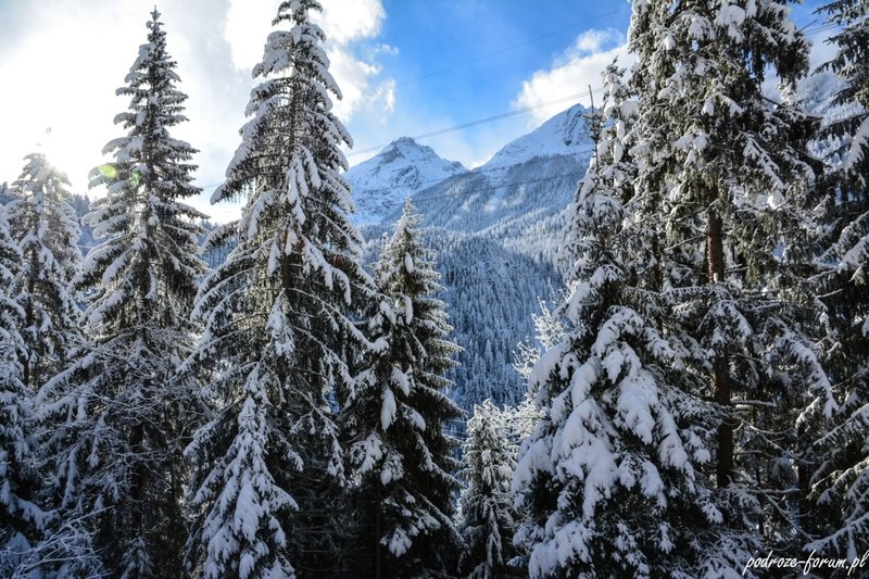Bernina Ekspress Szwajcaria 2015 (17).jpg