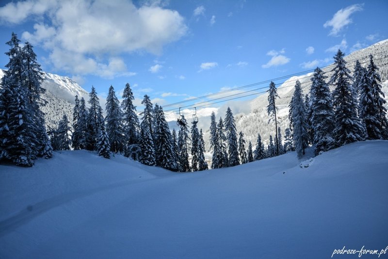 Bernina Ekspress Szwajcaria 2015 (37).jpg