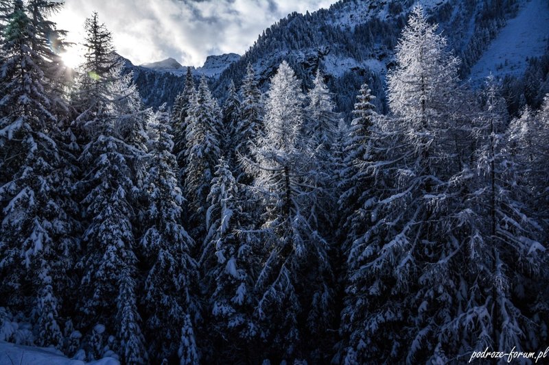 Bernina Ekspress Szwajcaria 2015 (44).jpg