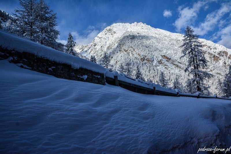 Bernina Ekspress Szwajcaria 2015 (45).jpg