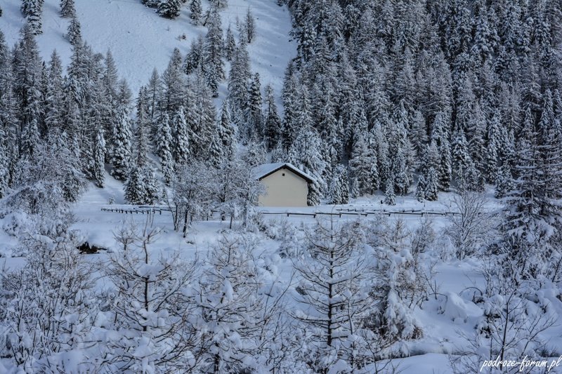 Bernina Ekspress Szwajcaria 2015 (80).jpg