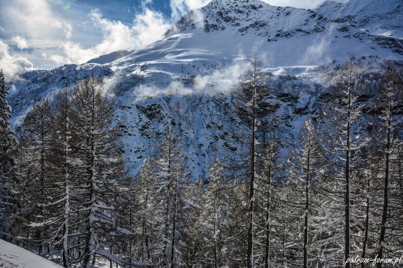 Bernina Ekspress Szwajcaria 2015 (143).jpg