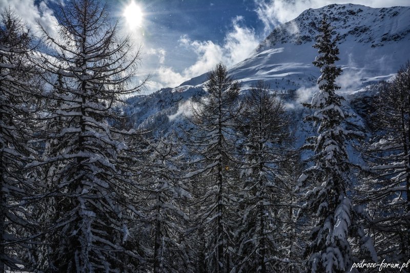 Bernina Ekspress Szwajcaria 2015 (144).jpg