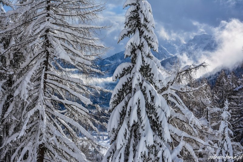 Bernina Ekspress Szwajcaria 2015 (149).jpg