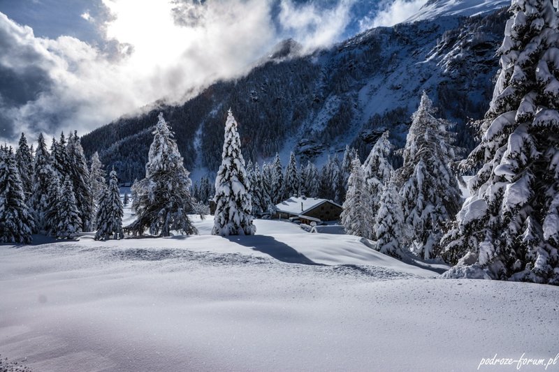 Bernina Ekspress Szwajcaria 2015 (156).jpg