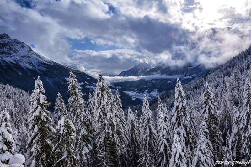 Bernina Ekspress Szwajcaria 2015 (166).jpg