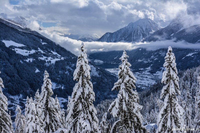 Bernina Ekspress Szwajcaria 2015 (167).jpg