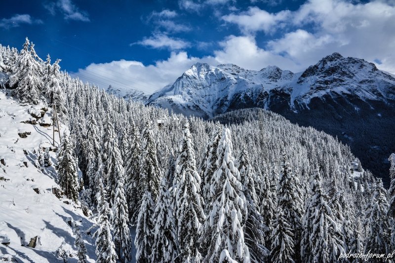 Bernina Ekspress Szwajcaria 2015 (168).jpg