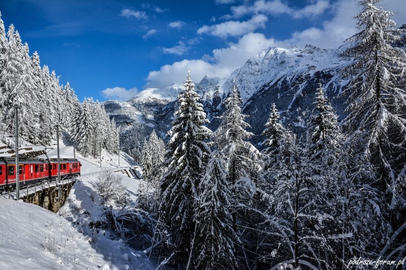 Bernina Ekspress Szwajcaria 2015 (172).jpg