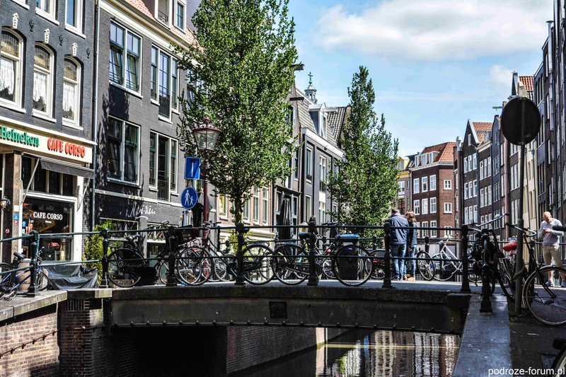 Amsterdam 2015 (50).jpg