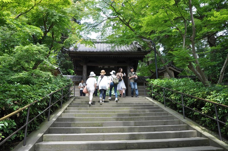 Kamakura (1).JPG