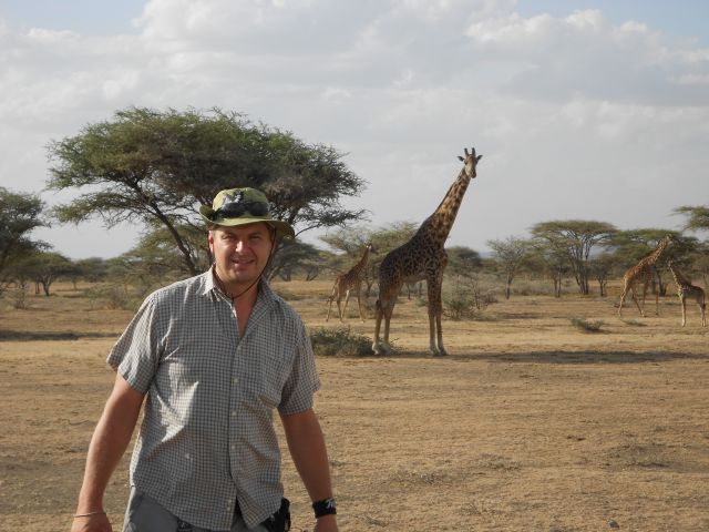 Żyrafy w Serengeti.